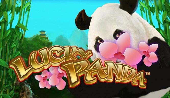 Lucky Panda Slotxo