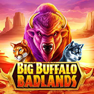 เกมสล็อตออนไลน์ big buffalo