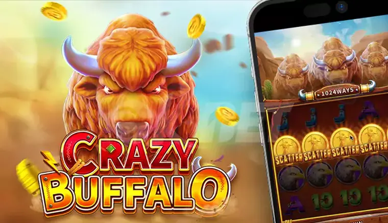 Crazy Buffalo fai chai