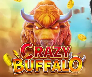 Crazy Buffalo fai chai